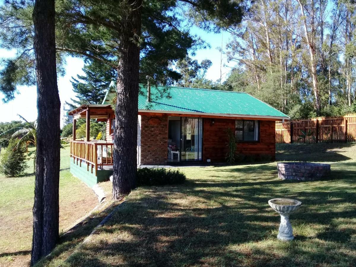 Wild Fig Country house Sedgefield