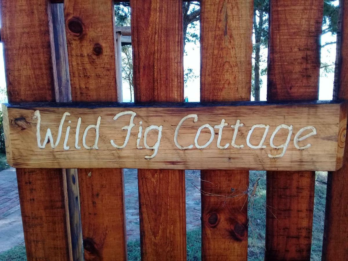 Country house Wild Fig